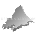 Congressional District 5, New York (Gray Gradient Fill with Shadow)