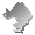 Congressional District 19, California (Gray Gradient Fill with Shadow)