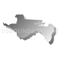 Congressional District 2, Florida (Gray Gradient Fill with Shadow)