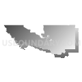 Congressional District 22, California (Gray Gradient Fill with Shadow)