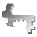 Congressional District 9, Florida (Gray Gradient Fill with Shadow)