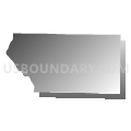 Mercer County, Illinois (Gray Gradient Fill with Shadow)