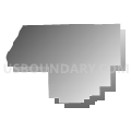 Woodford County, Illinois (Gray Gradient Fill with Shadow)
