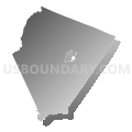 Albemarle County, Virginia (Gray Gradient Fill with Shadow)