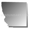 Adams County, Illinois (Gray Gradient Fill with Shadow)