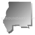 Pennington township, Bradley County, Arkansas (Gray Gradient Fill with Shadow)