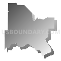 Bainbridge CCD, Decatur County, Georgia (Gray Gradient Fill with Shadow)