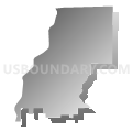 Cobden District 1 precinct, Union County, Illinois (Gray Gradient Fill with Shadow)
