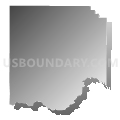 Brushy township, Saline County, Illinois (Gray Gradient Fill with Shadow)