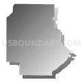 Boon township, Warrick County, Indiana (Gray Gradient Fill with Shadow)