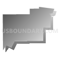 Brandon city, Douglas County, Minnesota (Gray Gradient Fill with Shadow)