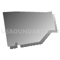 Albany town, Carroll County, New Hampshire (Gray Gradient Fill with Shadow)