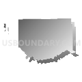 Collins town, Erie County, New York (Gray Gradient Fill with Shadow)