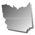 Remsen town, Oneida County, New York (Gray Gradient Fill with Shadow)