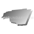 Morris town, Otsego County, New York (Gray Gradient Fill with Shadow)