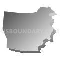 Tiffin township, Adams County, Ohio (Gray Gradient Fill with Shadow)