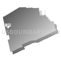 Foster township, Luzerne County, Pennsylvania (Gray Gradient Fill with Shadow)
