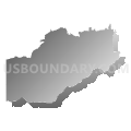 District 11, Sevier County, Tennessee (Gray Gradient Fill with Shadow)