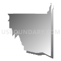 Winnsboro CCD, Wood County, Texas (Gray Gradient Fill with Shadow)