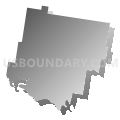 McAllen-Pharr CCD, Hidalgo County, Texas (Gray Gradient Fill with Shadow)