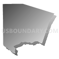 Johnson City CCD, Blanco County, Texas (Gray Gradient Fill with Shadow)
