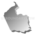 Wreck Island district, Appomattox County, Virginia (Gray Gradient Fill with Shadow)