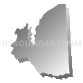 District 5, Nottoway County, Virginia (Gray Gradient Fill with Shadow)