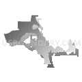Windermere town, Florida (Gray Gradient Fill with Shadow)