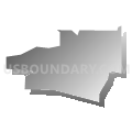 Start CDP, Louisiana (Gray Gradient Fill with Shadow)