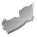 Juliustown CDP, New Jersey (Gray Gradient Fill with Shadow)