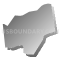 Plainview CDP, New York (Gray Gradient Fill with Shadow)