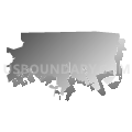 Bloomingdale CDP, Tennessee (Gray Gradient Fill with Shadow)