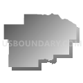 Dakota County (South)--Lakeville, Hastings, Rosemount & Farmington Cities PUMA, Minnesota (Gray Gradient Fill with Shadow)