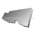 Columbia & Greene Counties PUMA, New York (Gray Gradient Fill with Shadow)