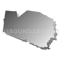Williamson County--Franklin & Brentwood Cities PUMA, Tennessee (Gray Gradient Fill with Shadow)