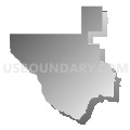 Rio Grande COG & Permian Basin Regional Planning Commission (West) PUMA, Texas (Gray Gradient Fill with Shadow)