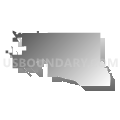 State House District 41, Colorado (Gray Gradient Fill with Shadow)