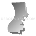 State House District 54, Iowa (Gray Gradient Fill with Shadow)