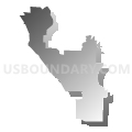 Assembly District 30, Nevada (Gray Gradient Fill with Shadow)