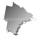 Assembly District 66, New York (Gray Gradient Fill with Shadow)