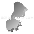 Assembly District 50, New York (Gray Gradient Fill with Shadow)