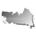 Assembly District 14, New York (Gray Gradient Fill with Shadow)