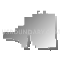 State House District 84, Texas (Gray Gradient Fill with Shadow)
