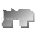 State Senate District 40, Nebraska (Gray Gradient Fill with Shadow)