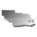 State Senate District 11, North Dakota (Gray Gradient Fill with Shadow)