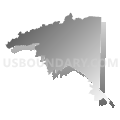 State Senate District 5, South Carolina (Gray Gradient Fill with Shadow)