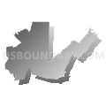 State Senate District 14, West Virginia (Gray Gradient Fill with Shadow)