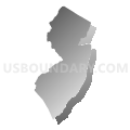 New Jersey (Gray Gradient Fill with Shadow)