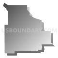 Census Tract 8, Pima County, Arizona (Gray Gradient Fill with Shadow)