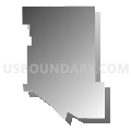 Census Tract 4, Pima County, Arizona (Gray Gradient Fill with Shadow)